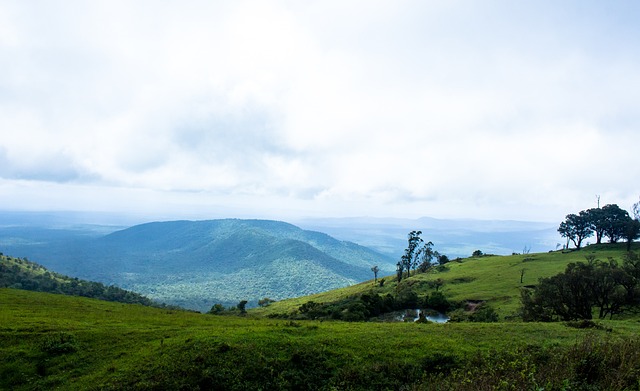 仅是足球赛 仅是足球赛
