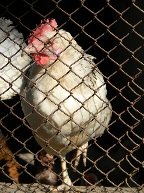 仅拥有良好 仅拥有良好