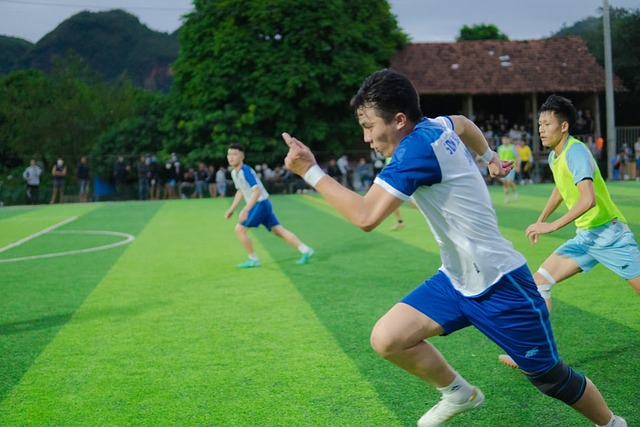 他们没能将 他们没能将