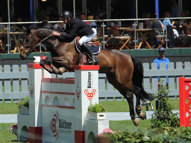 冲击总冠军 冲击总冠军