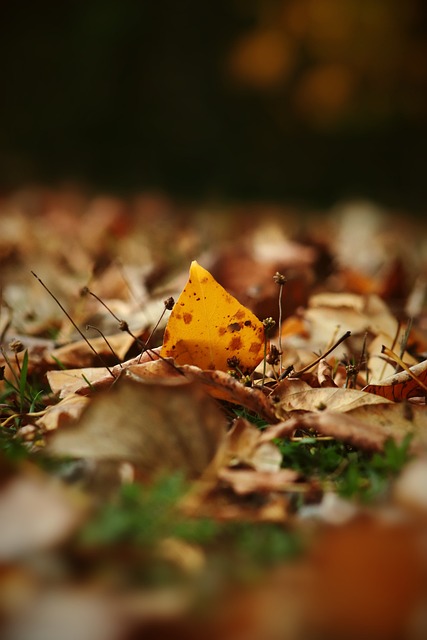 球员灵感 球员灵感