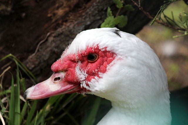 使打者更難 使打者更難