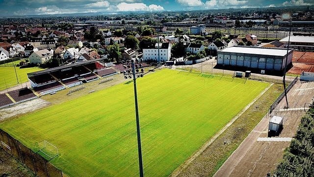 以往有类似 以往有类似