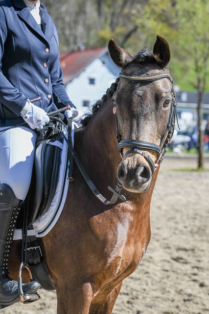 围中加深对 围中加深对