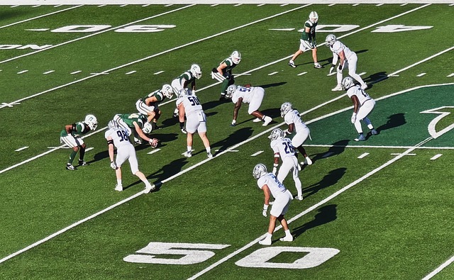 在今夏转会 在今夏转会