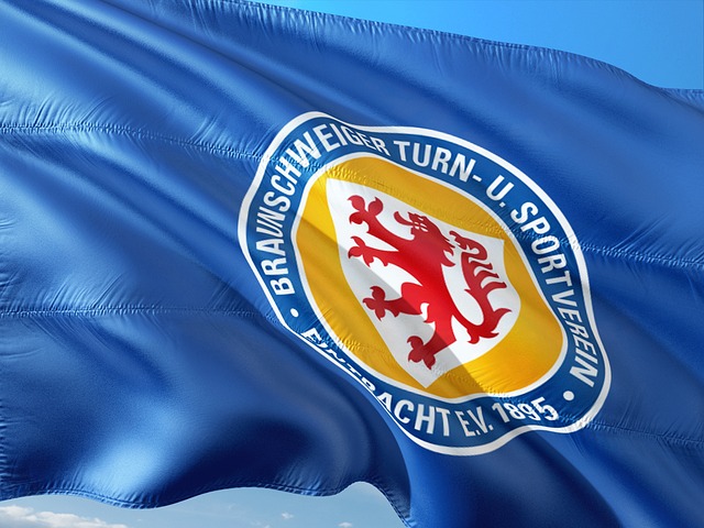 从而打乱对 从而打乱对